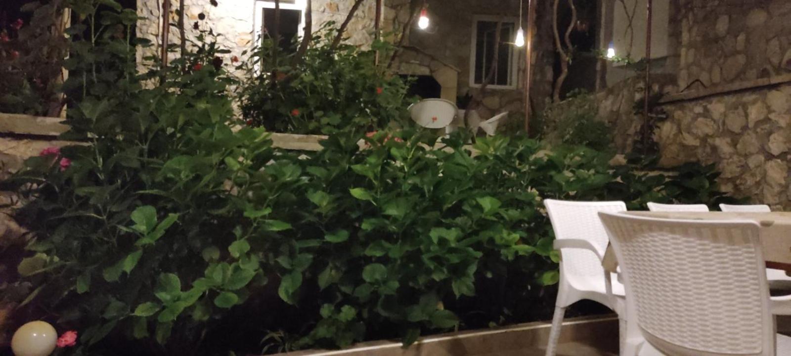 Vesna'S Dream Apartment Budva Exterior photo